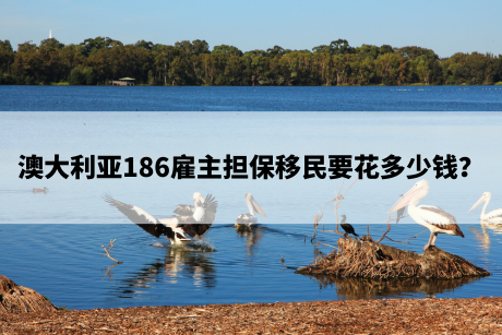 澳大利亚186雇主担保移民要花多少钱? 澳大利亚186雇主担保移民要花多少钱?