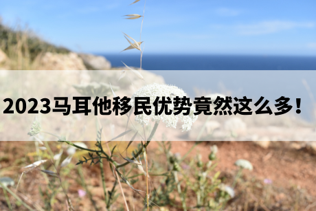 2023马耳他移民优势竟然这么多! 2023马耳他移民优势竟然这么多!