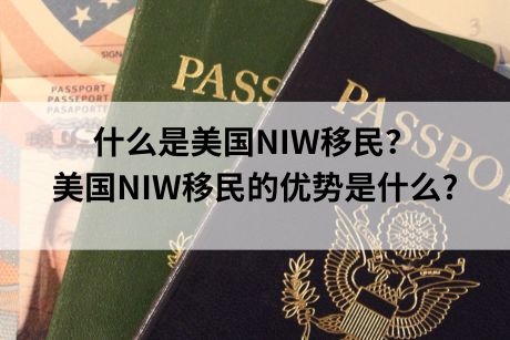 什么是美国NIW移民?美国NIW移民的优势是什么? 什么是美国NIW移民?美国NIW移民的优势是什么?