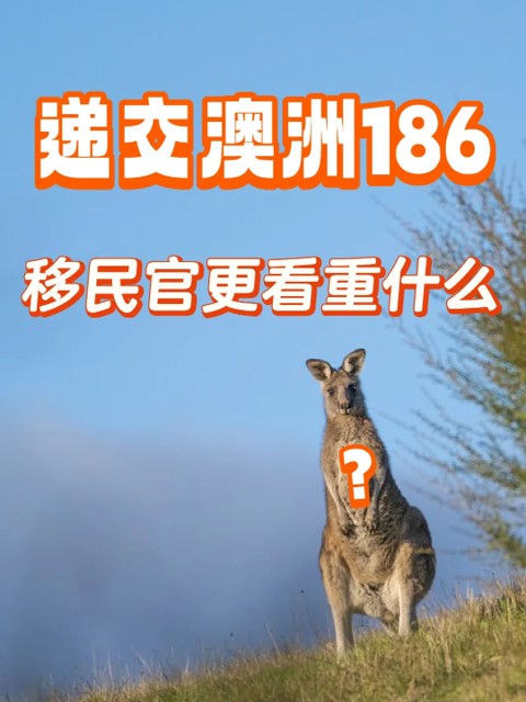 看啥.jpg 看啥.jpg