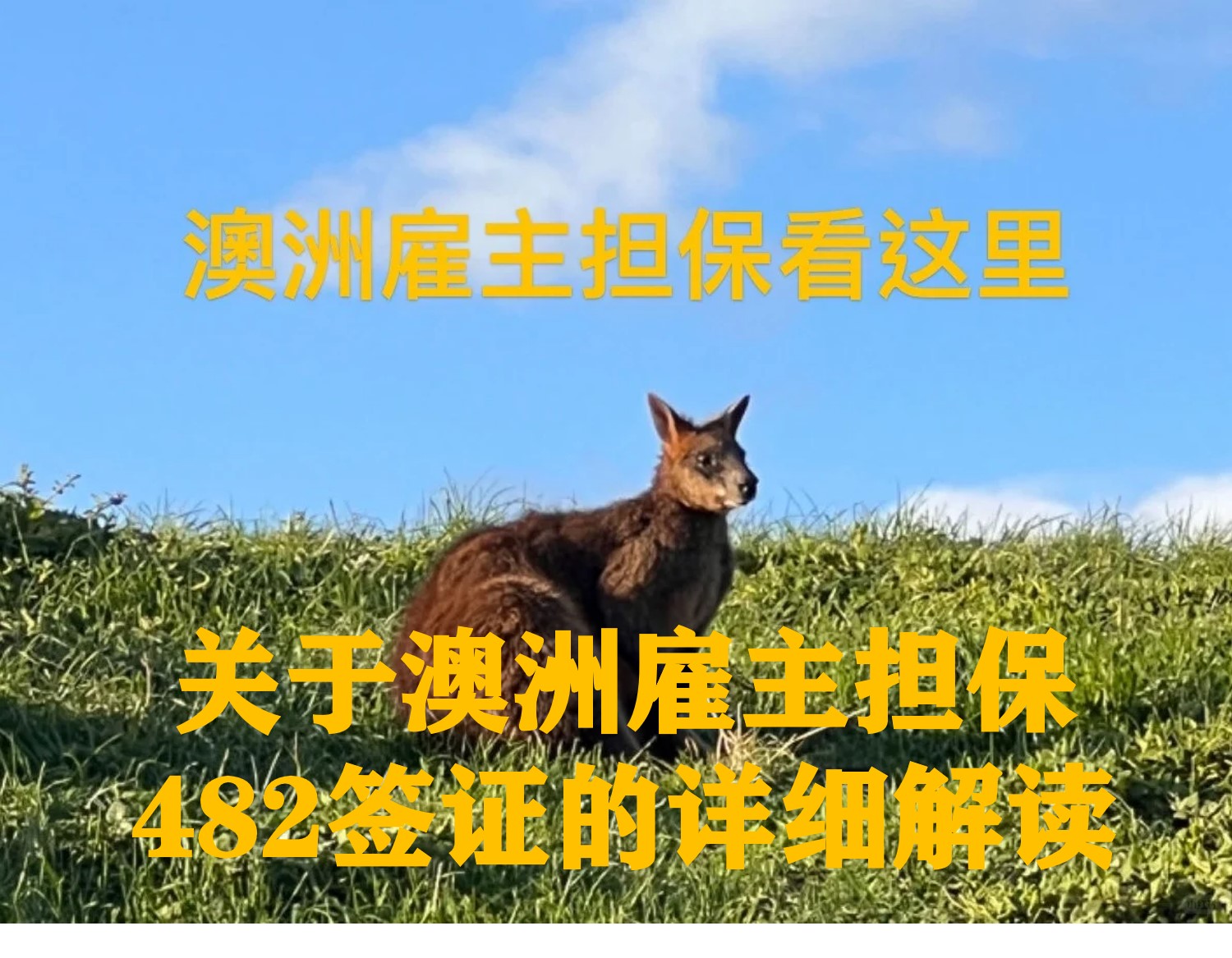 澳洲3.jpg 澳洲3.jpg