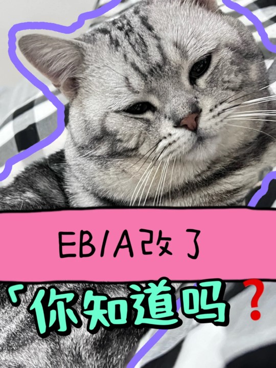 美国4.jpg 美国4.jpg