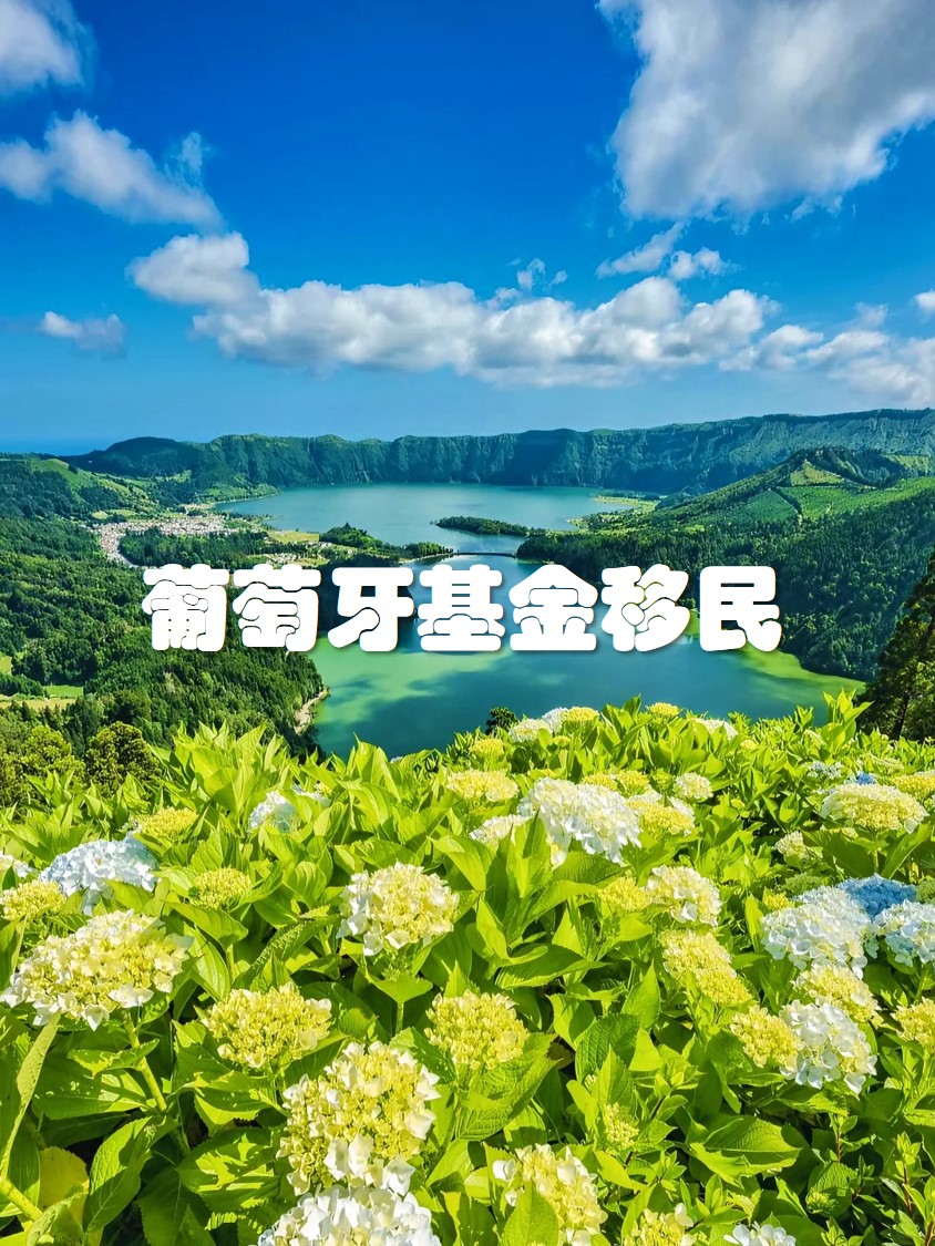 图片7.jpg 图片7.jpg