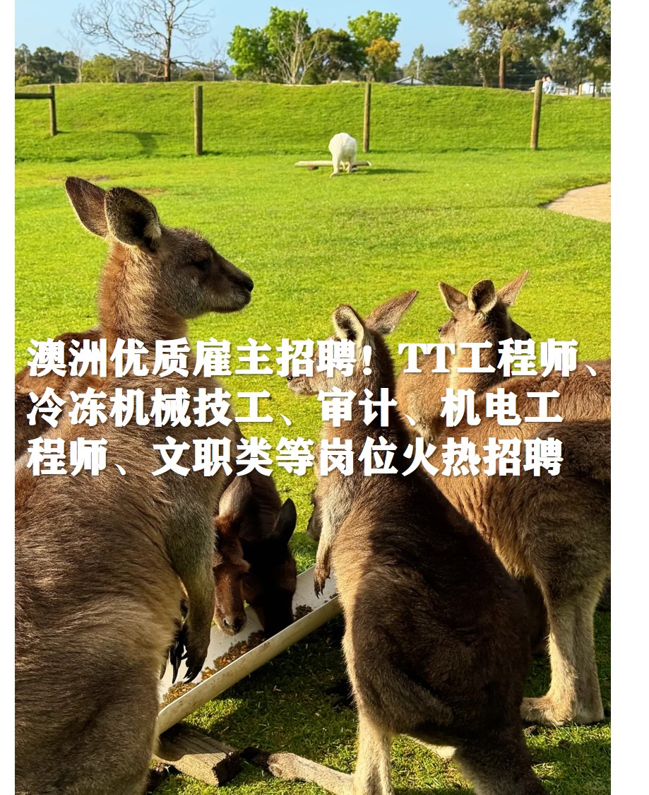 图片12222.jpg 图片12222.jpg