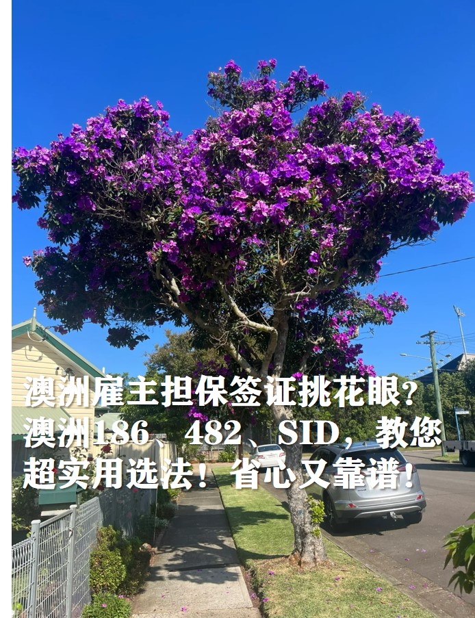 图片1564.jpg