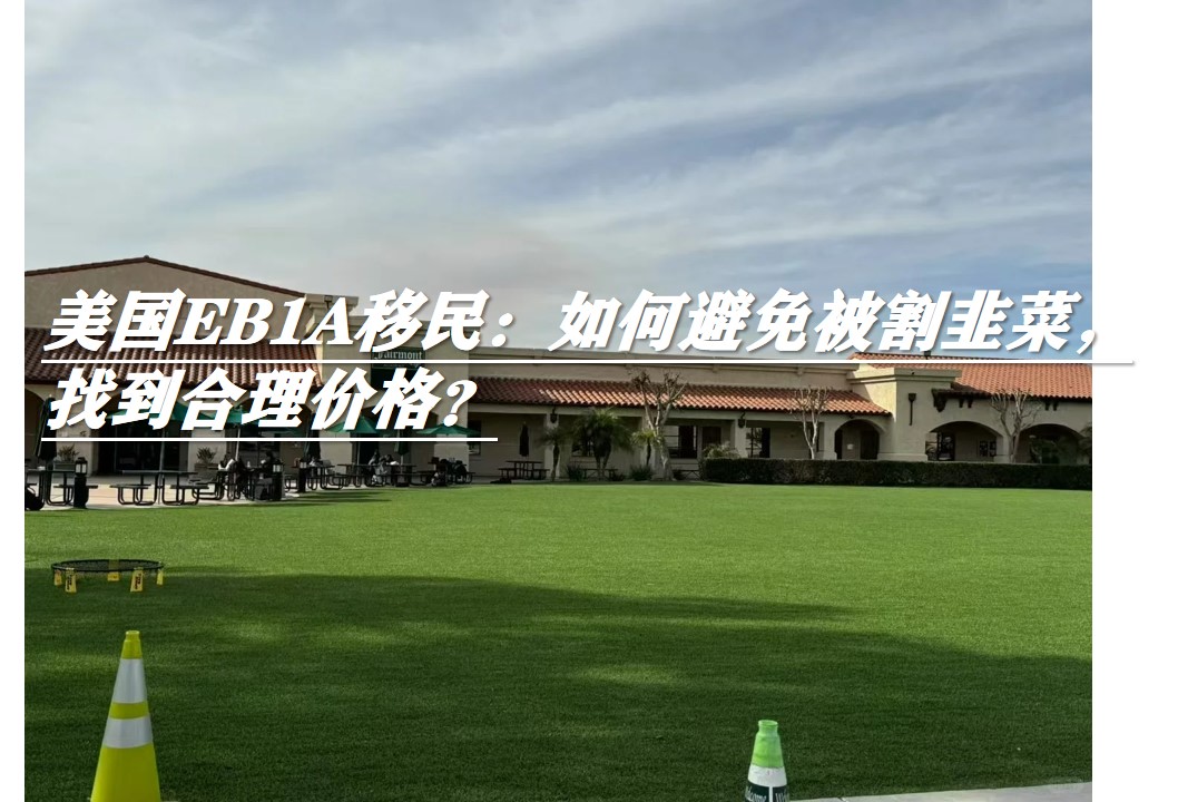 图片17802.jpg 图片17802.jpg
