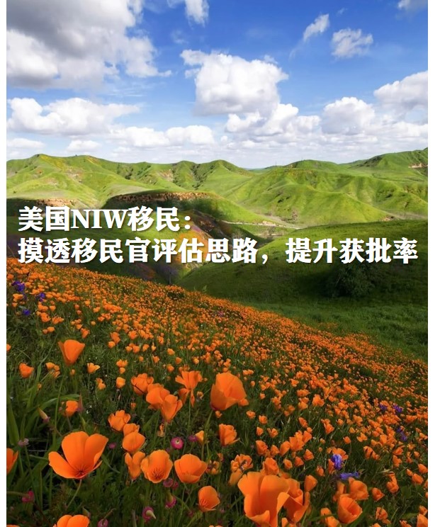图片11234.jpg 图片11234.jpg