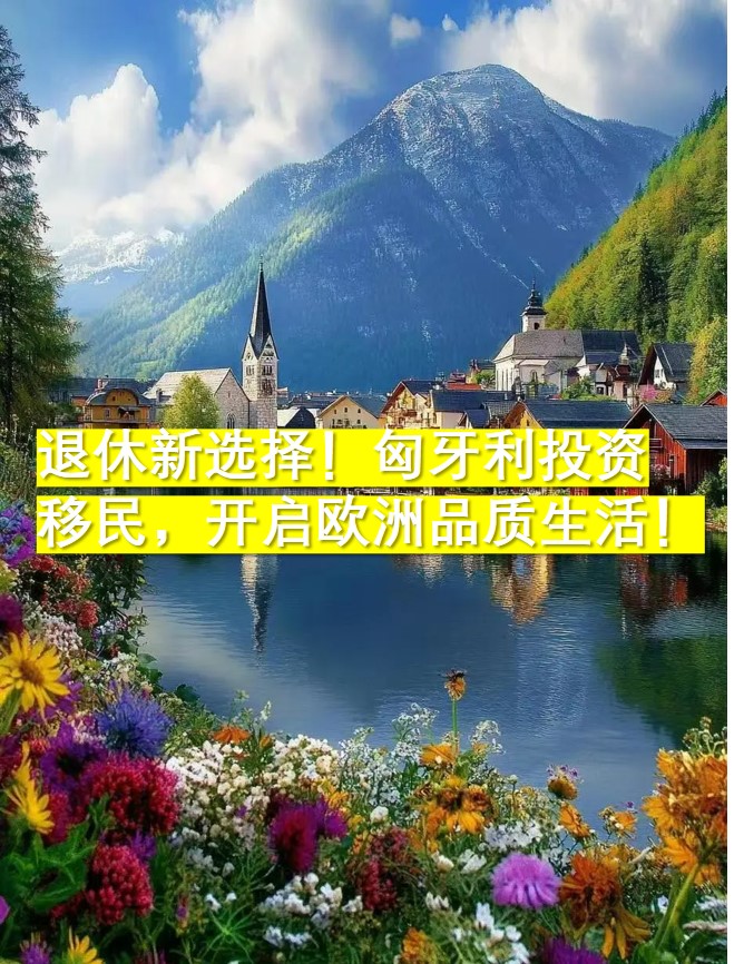 图片12312.jpg 图片12312.jpg