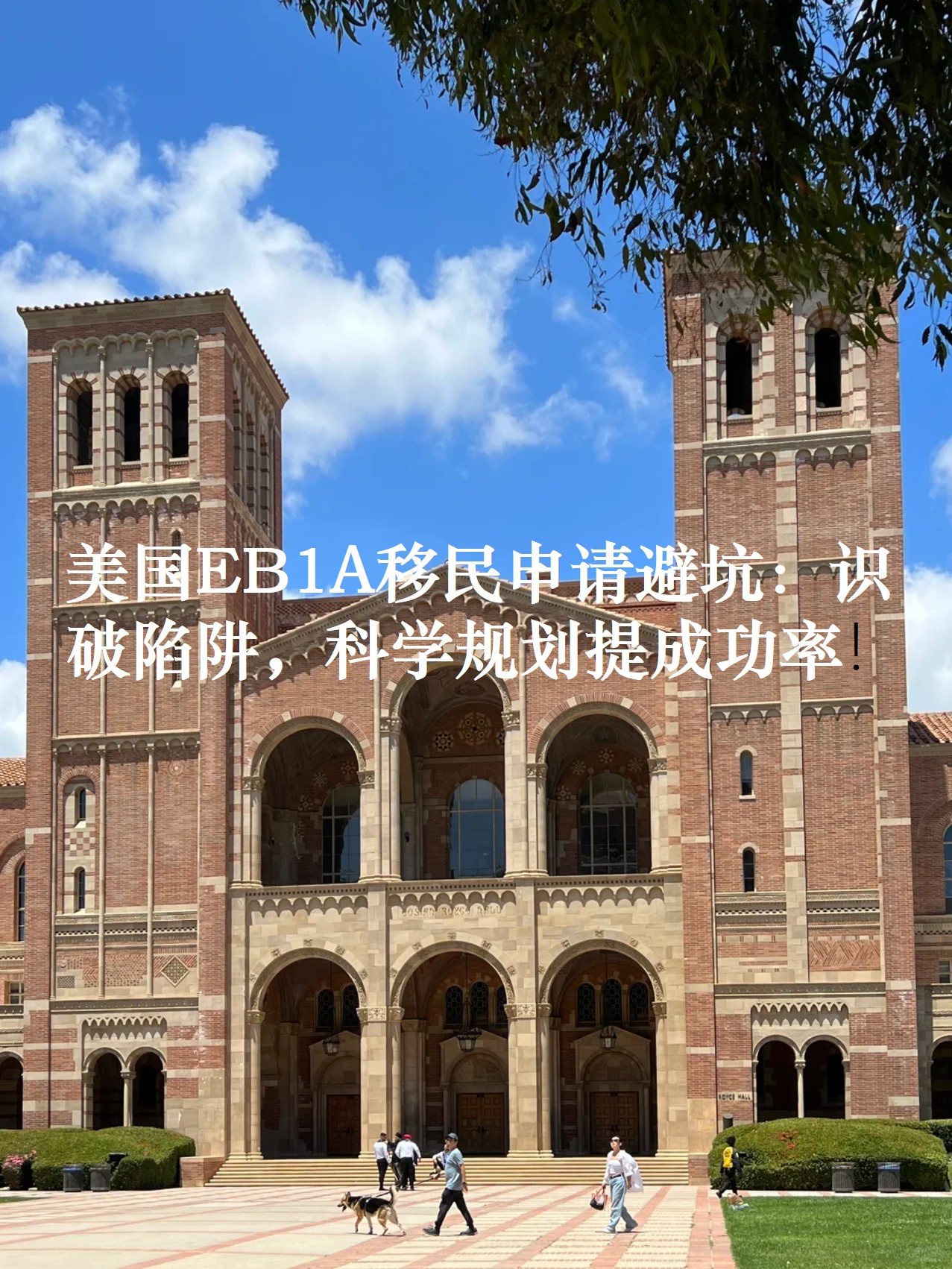 图片5.jpg 图片5.jpg