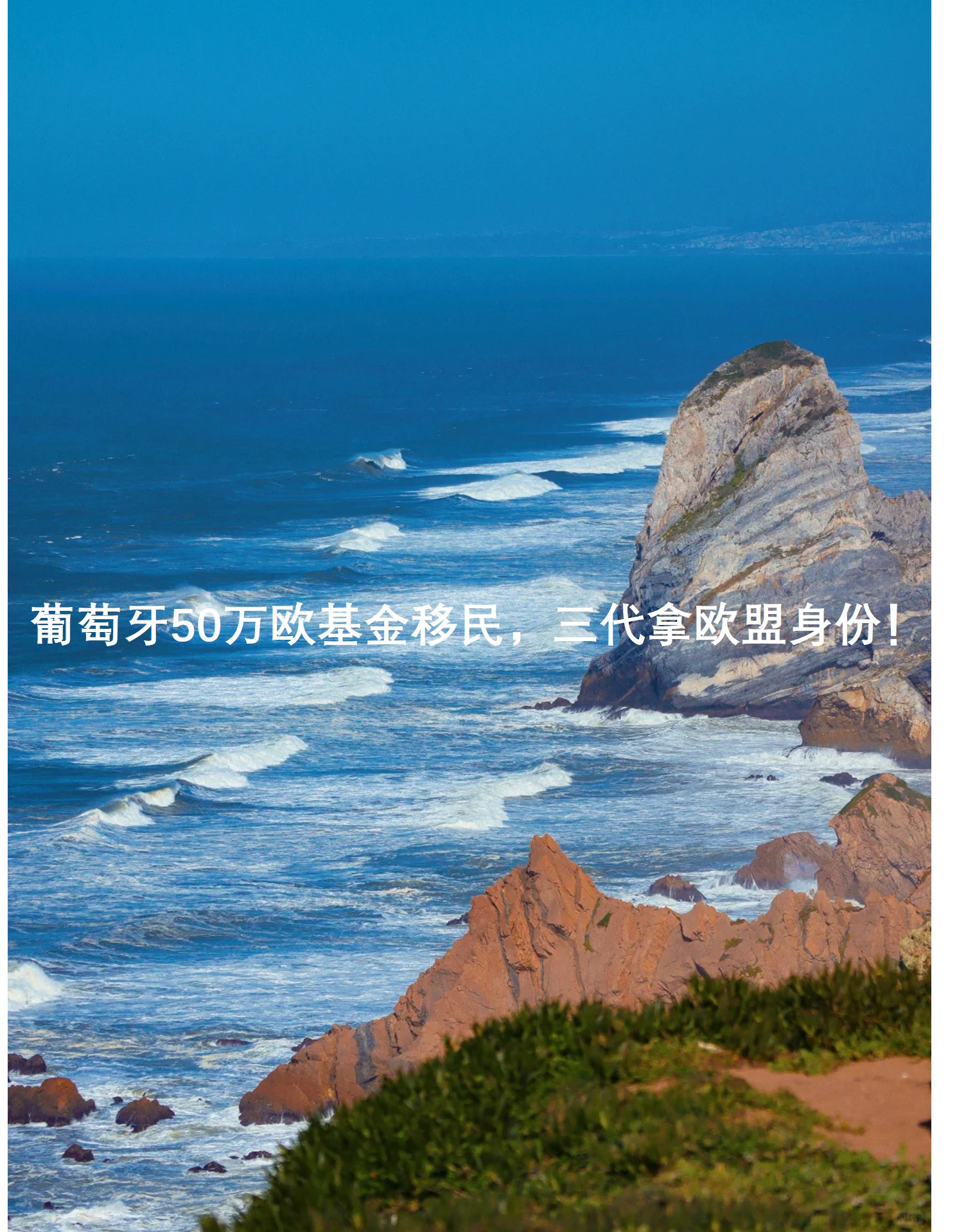 图片3.jpg 图片3.jpg