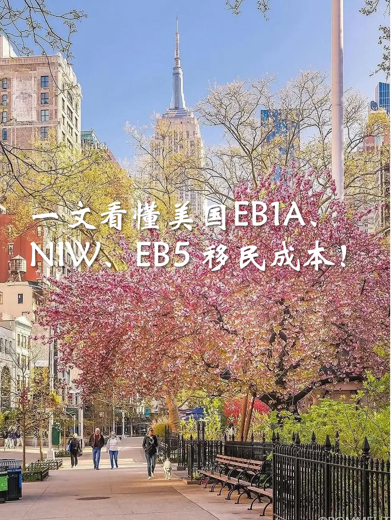 图片5.jpg 图片5.jpg