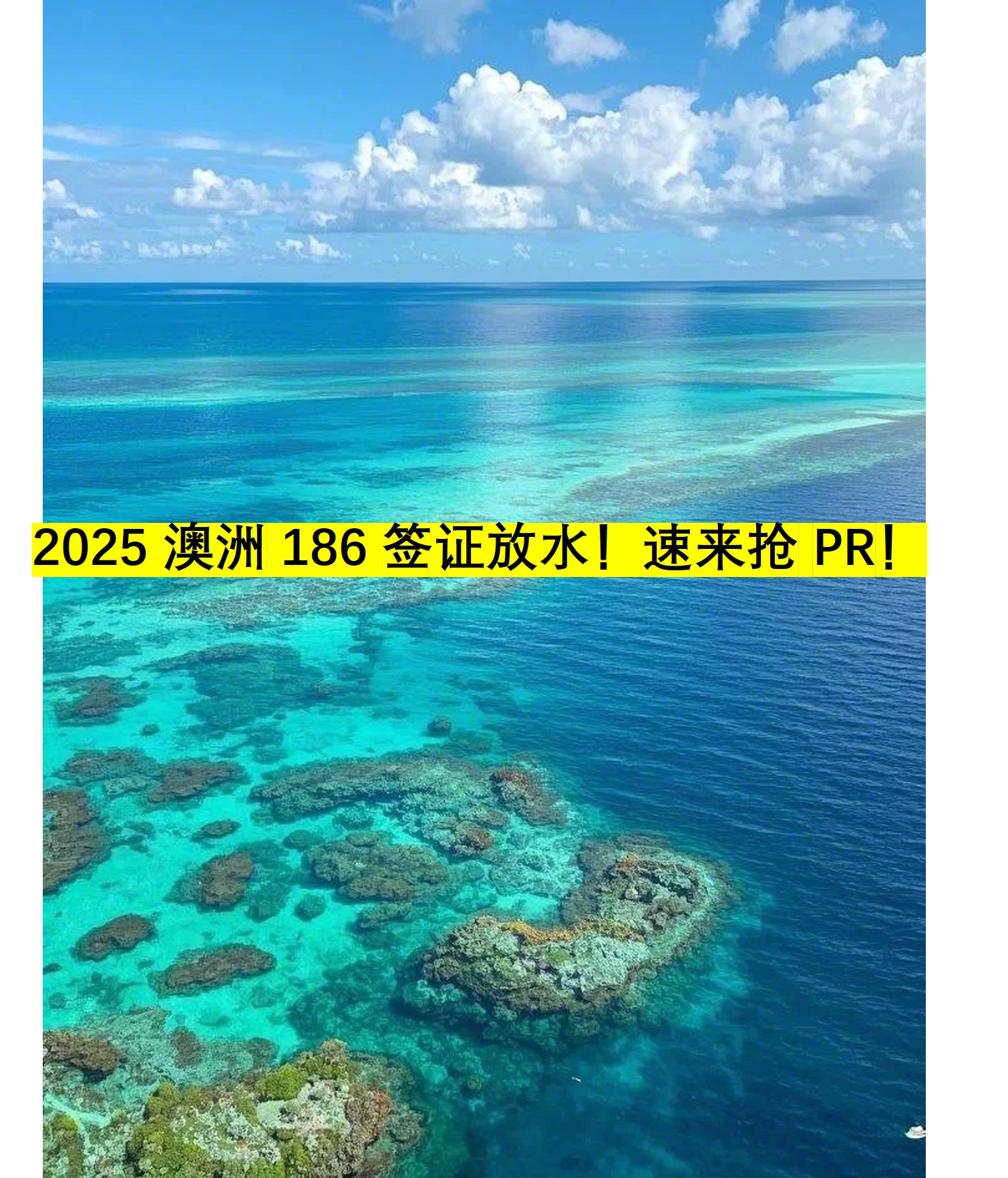 图片4.jpg 图片4.jpg