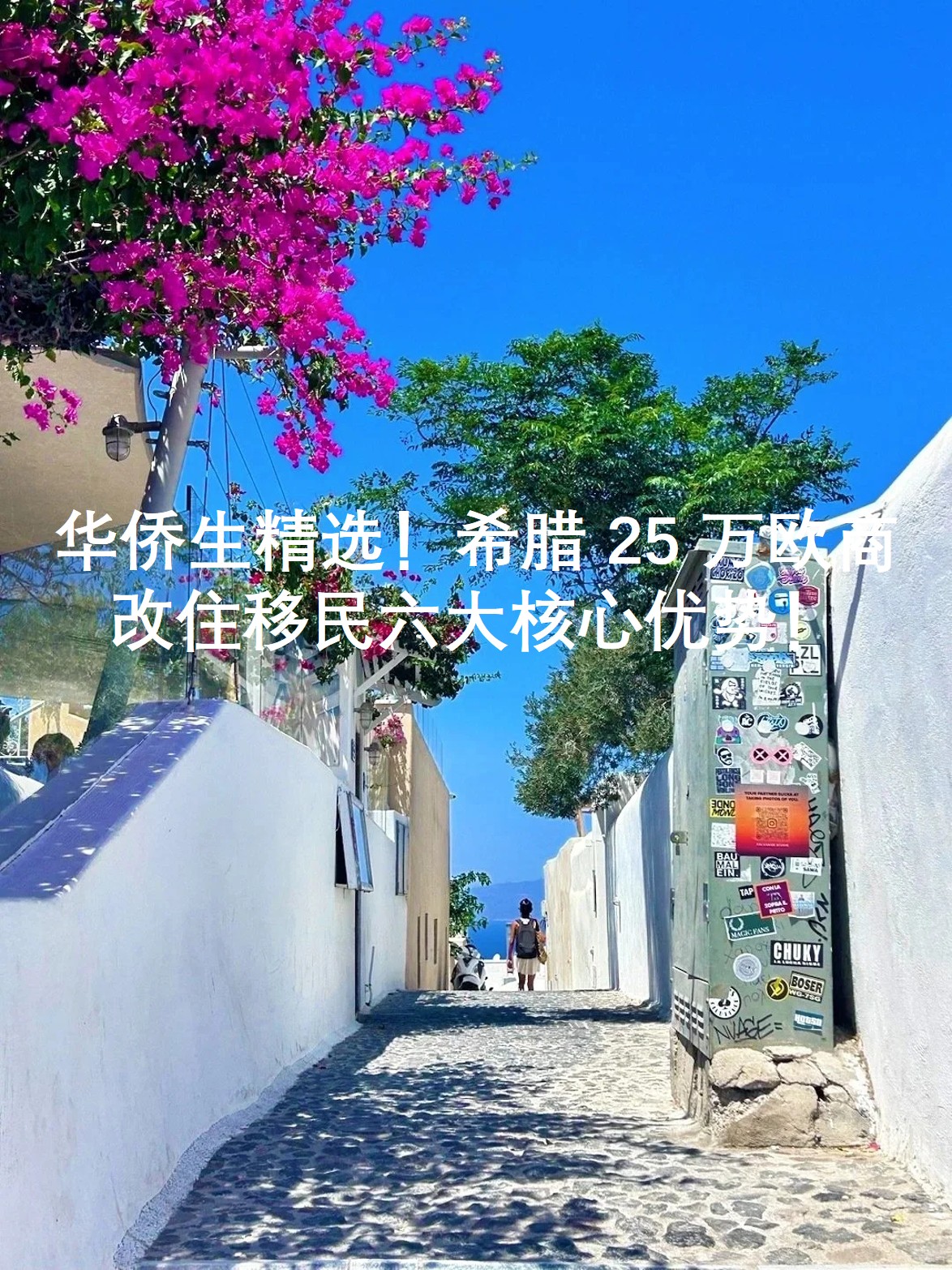 图片5.jpg 图片5.jpg