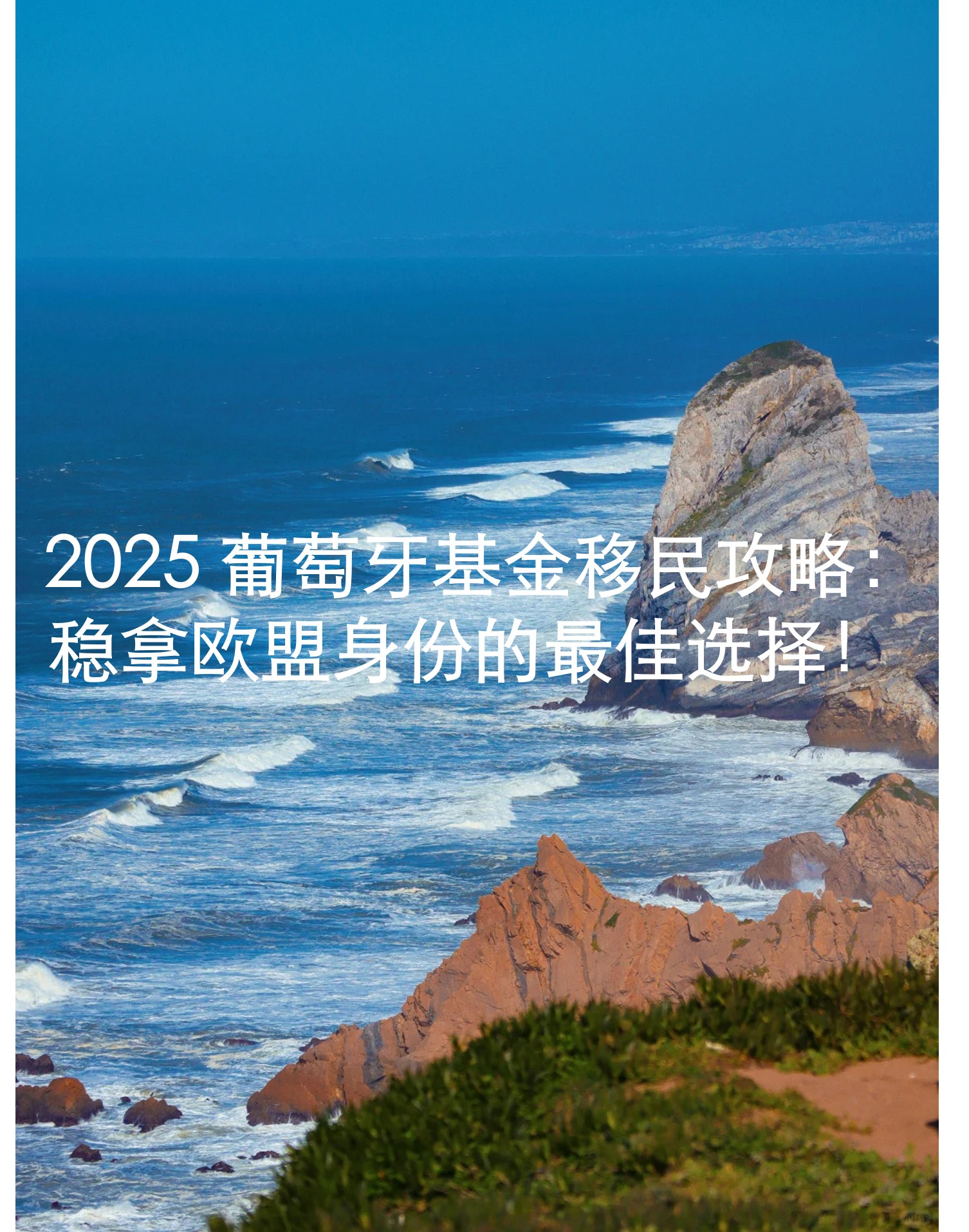 2.jpg 2.jpg