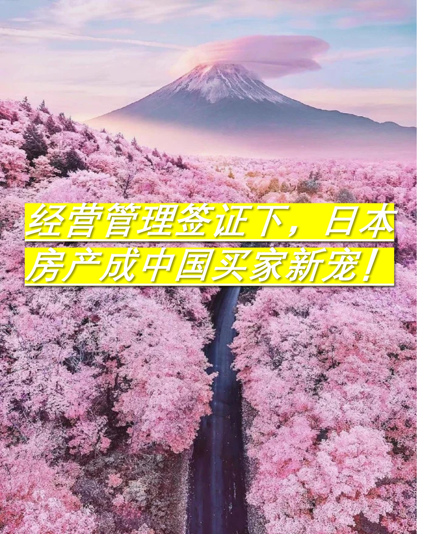 图片4.jpg 图片4.jpg