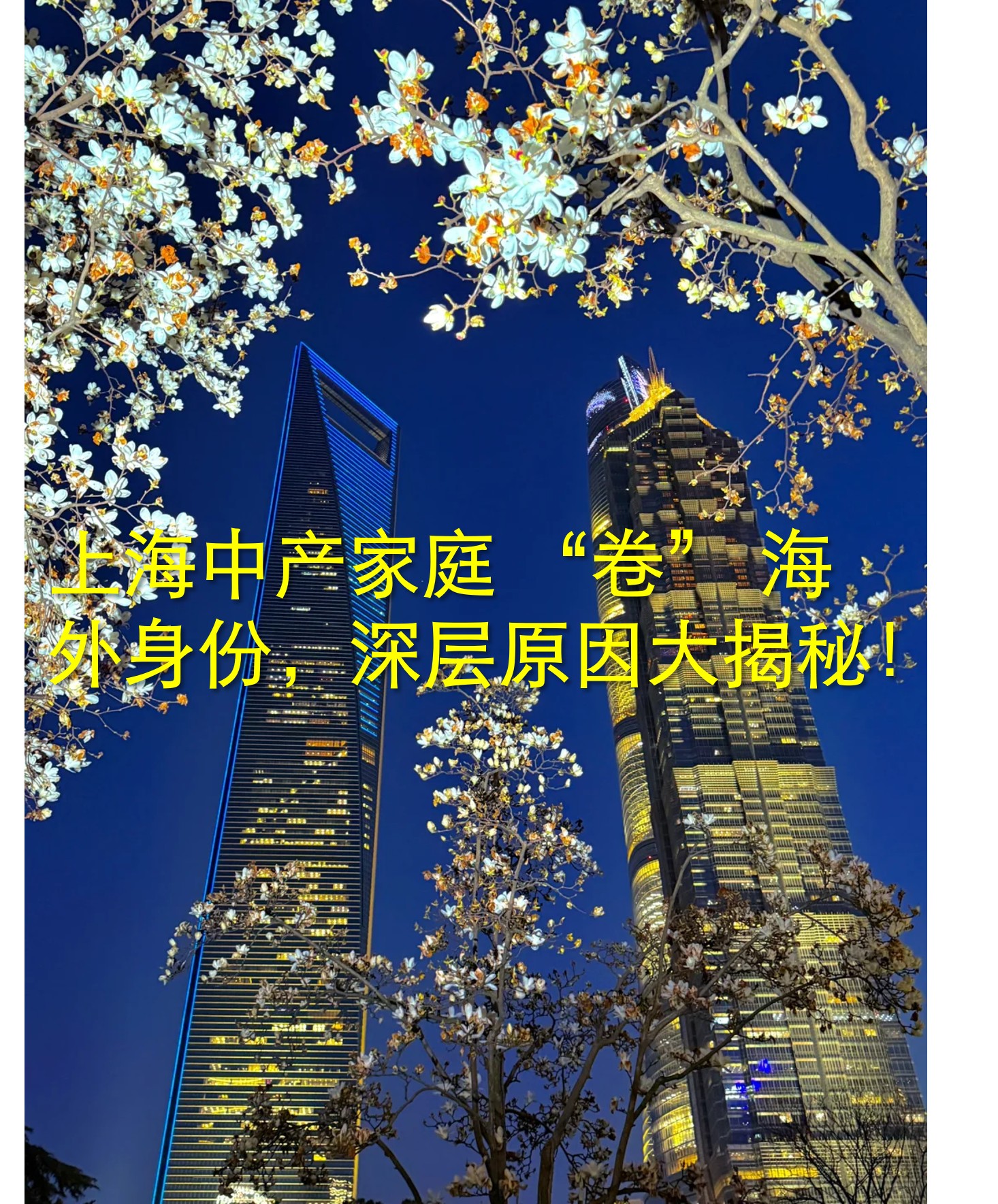 图片5.jpg 图片5.jpg