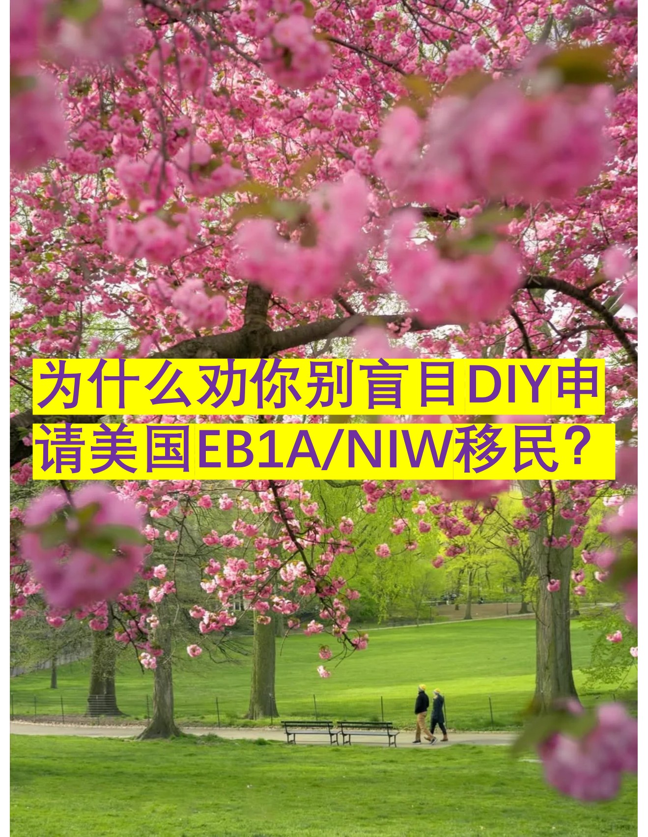 图片9.jpg 图片9.jpg