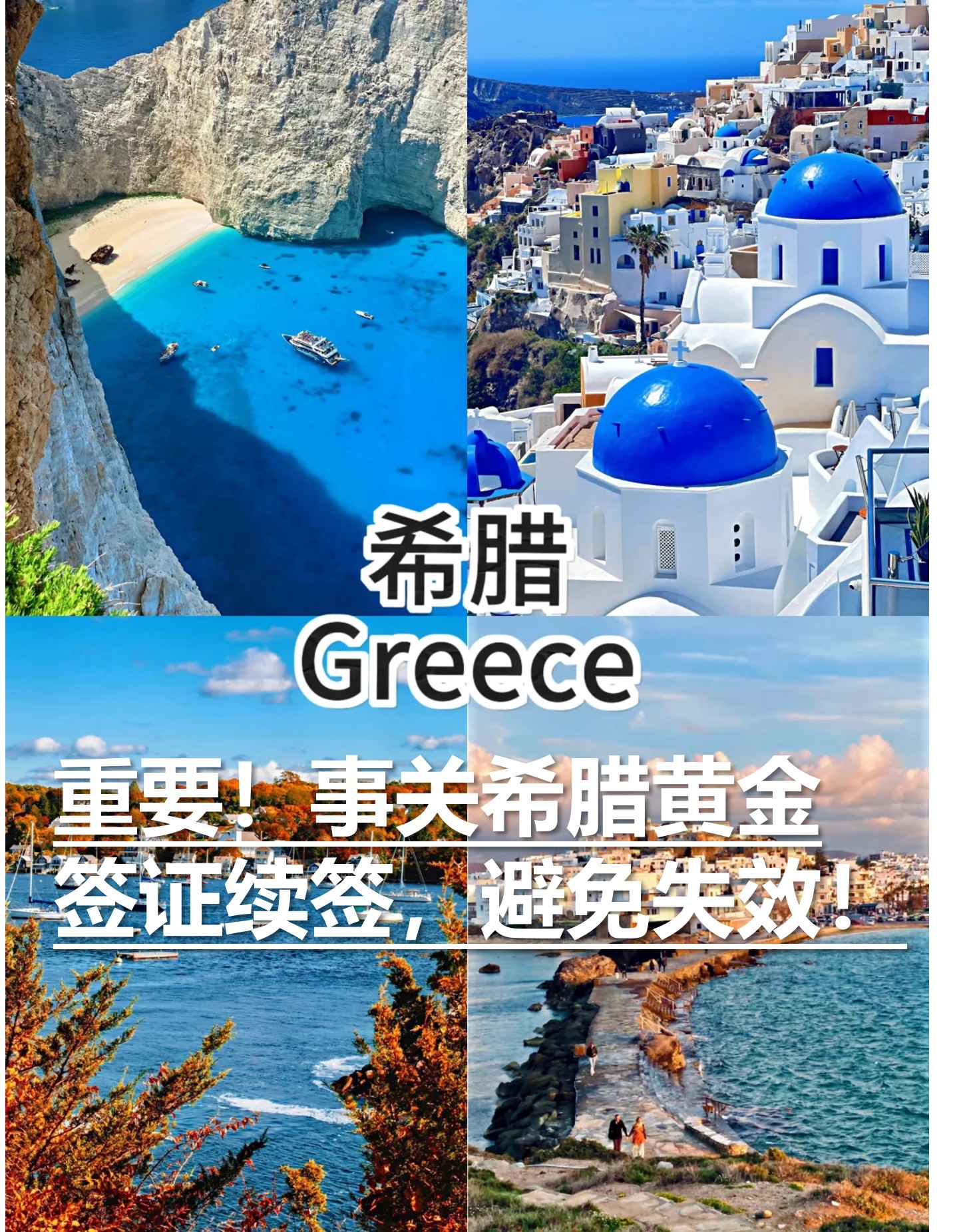 图片5.jpg 图片5.jpg