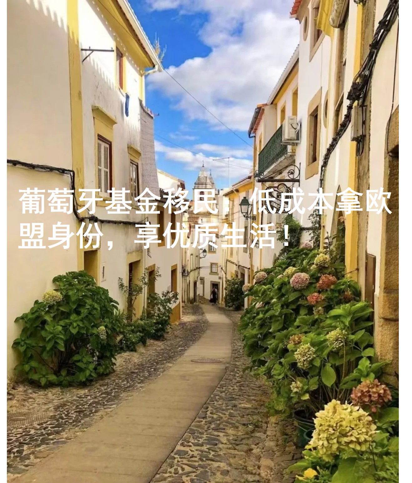图片10.jpg 图片10.jpg