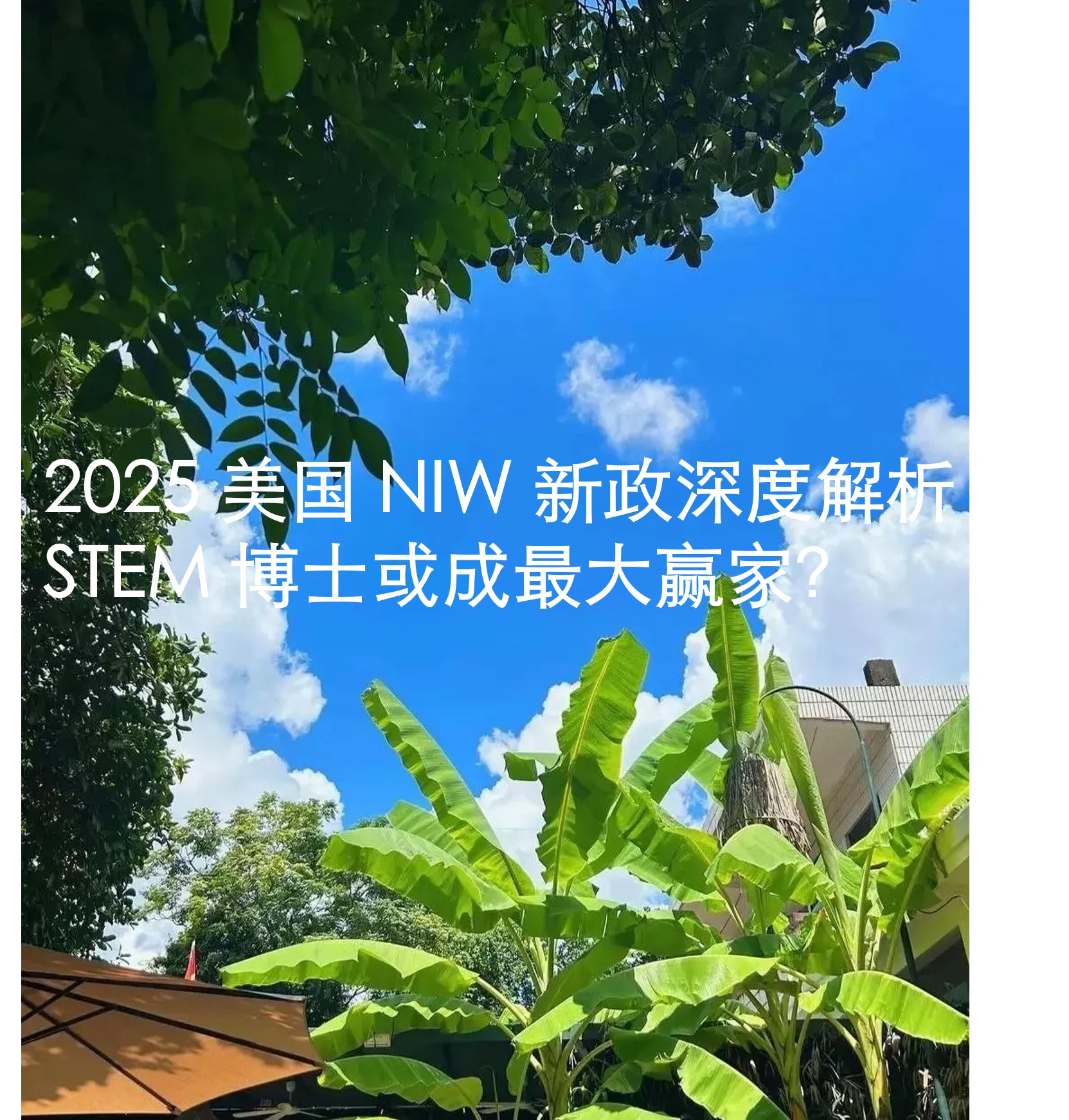 图片1567.jpg 图片1567.jpg