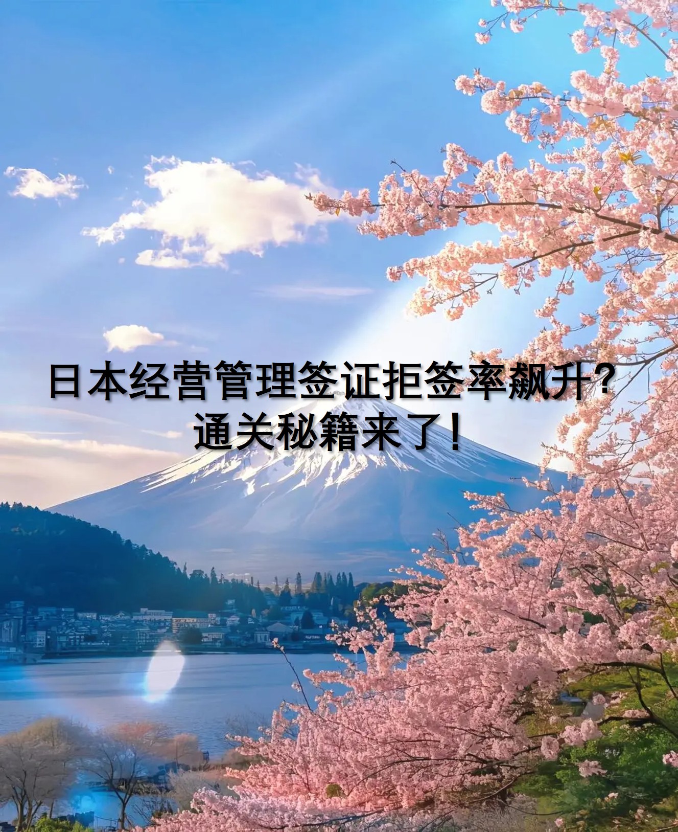 图片3.jpg 图片3.jpg