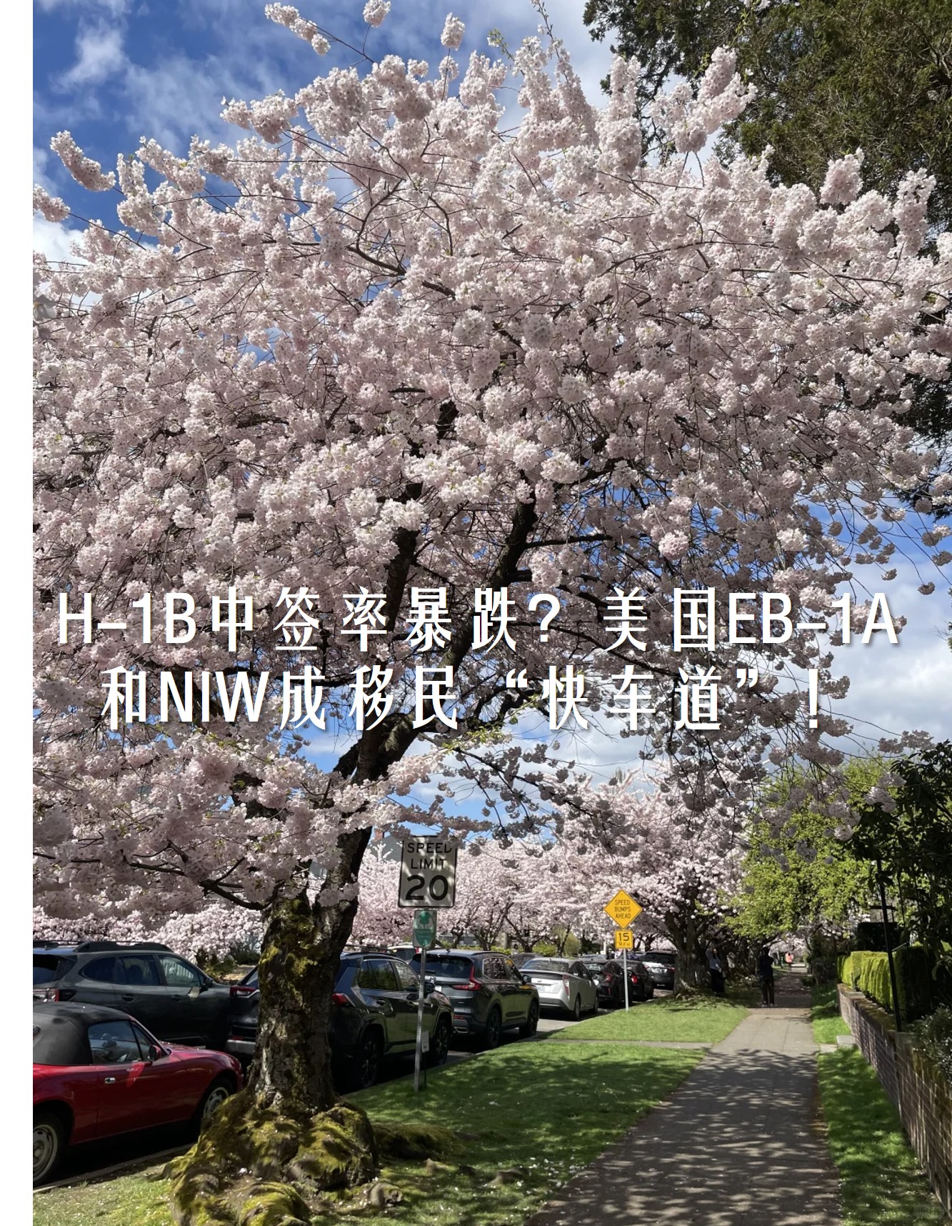 图片1222.jpg 图片1222.jpg