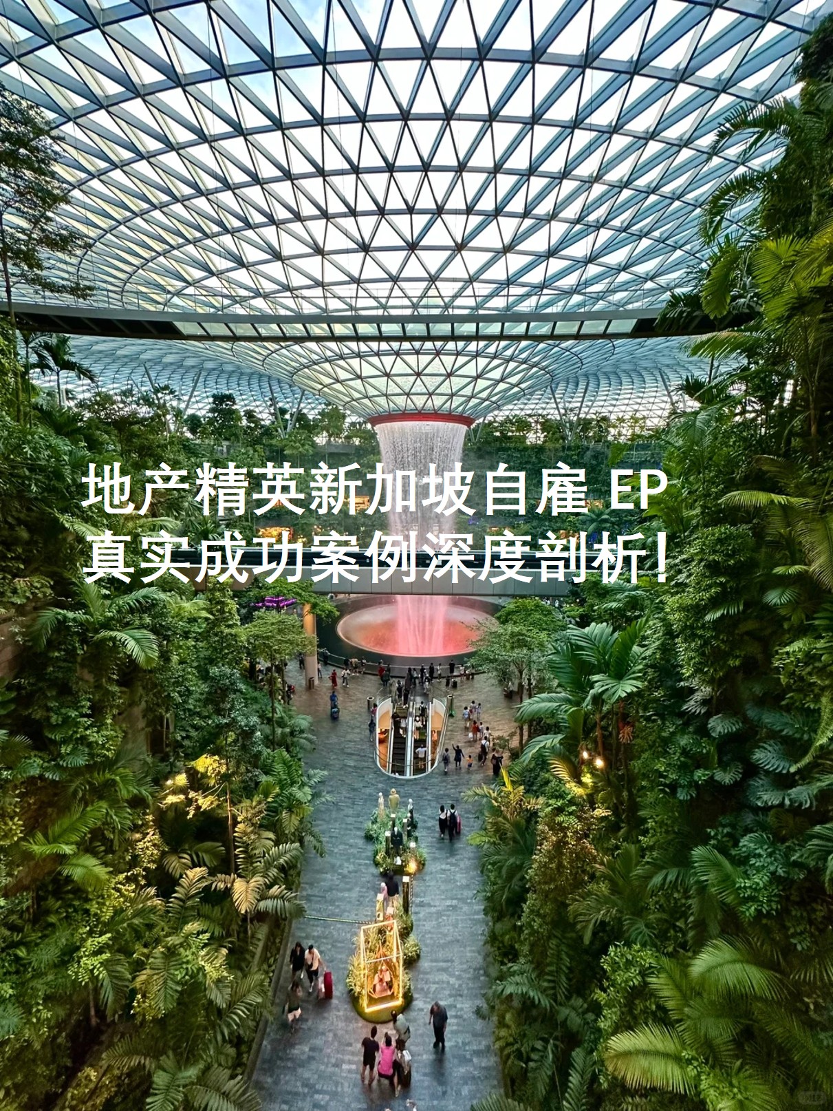 图片8.jpg 图片8.jpg